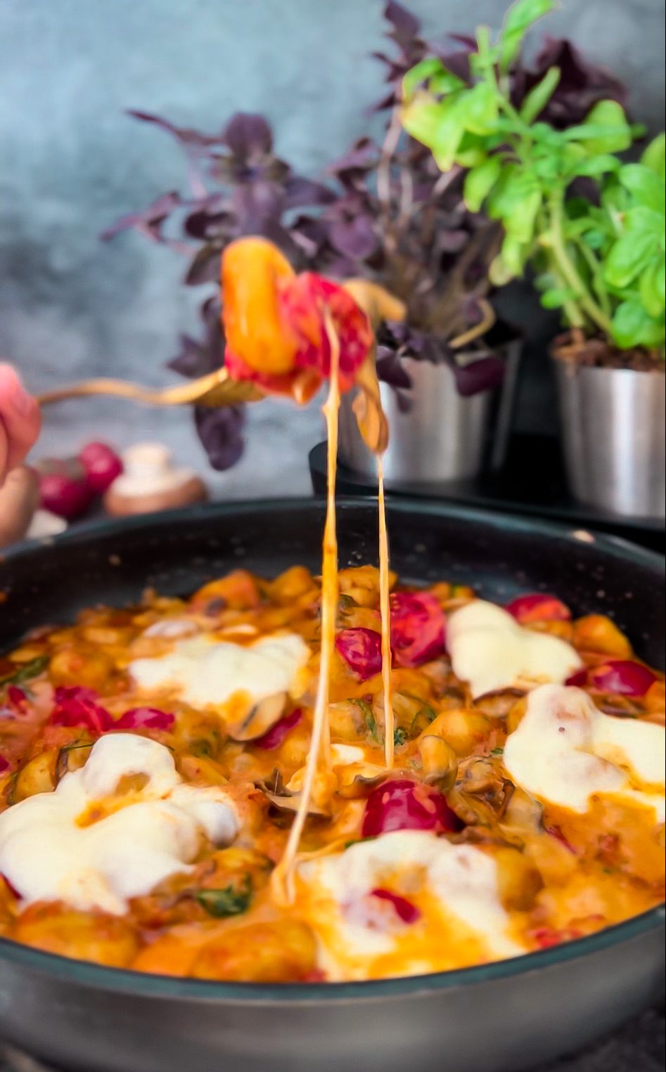 Cremige Gnocchi mit Pesto Rosso, Champignons, Babyspinat, Cherrytomaten und geschmolzenem Mozzarella, serviert in einer Pfanne.